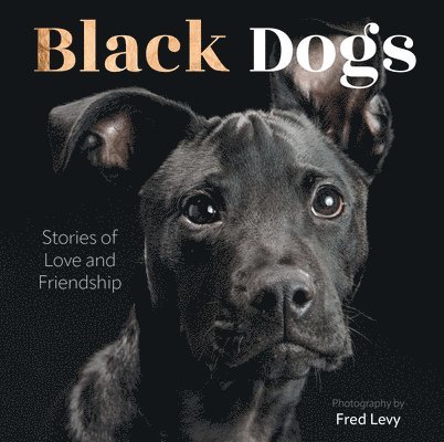 Fred Levy - Black Dogs, Inbunden