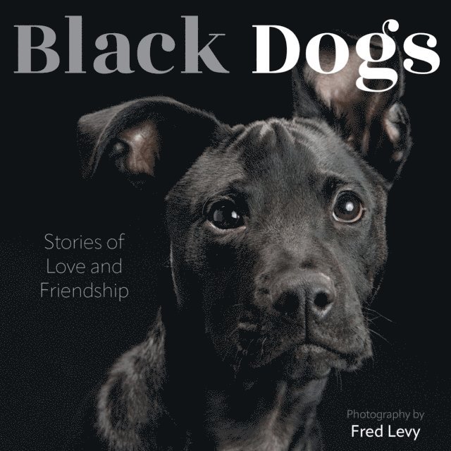 Fred Levy - Black Dogs, E-bok