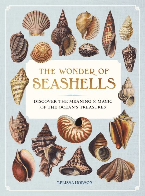 Melissa Hobson - Wonder of Seashells, E-bok