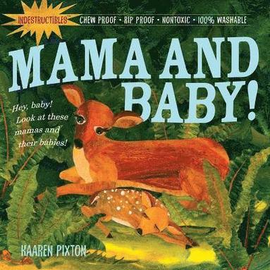 Indestructibles: Mama and Baby! av Amy Pixton, Kaaren Pixton
