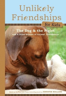 Jennifer S. Holland - Unlikely Friendships for Kids: The Dog & The Piglet, Inbunden