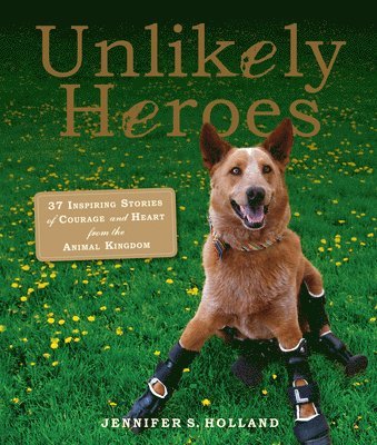 Jennifer S. Holland - Unlikely Heroes, Häftad