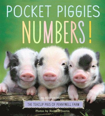 Pocket Piggies Numbers!
