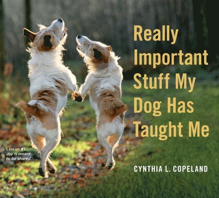 Cynthia L. Copeland - Really Important Stuff My Dog Has Taught Me, Häftad. Tillgänglighet: Lägg i varukorg