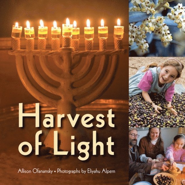 Allison Ofanansky - Harvest of Light, E-bok