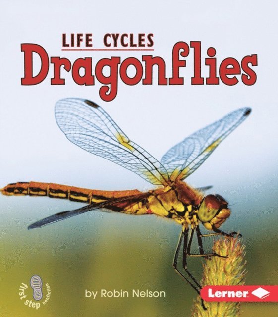 Robin Nelson - Dragonflies, E-bok