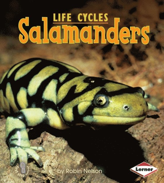 Robin Nelson - Salamanders, E-bok