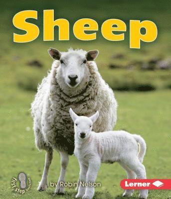 Robin Nelson - Sheep, E-bok
