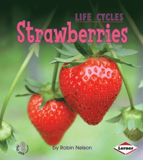 Robin Nelson - Strawberries, E-bok