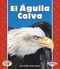 El ÿguila Calva (The Bald Eagle)