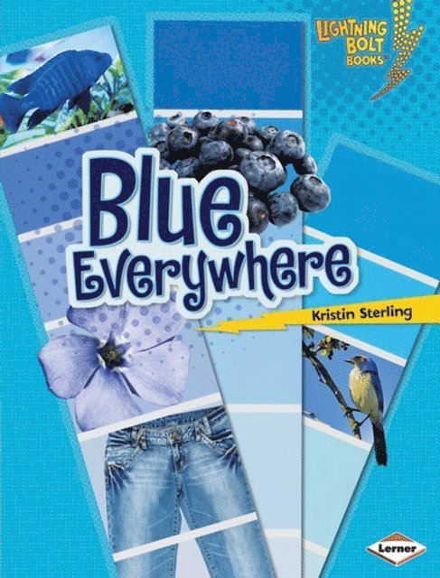 Kristin Sterling - Blue Everywhere, E-bok
