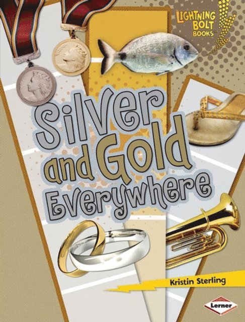 Kristin Sterling - Silver and Gold Everywhere, E-bok