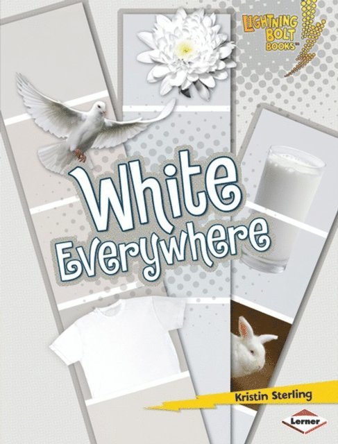 Kristin Sterling - White Everywhere, E-bok