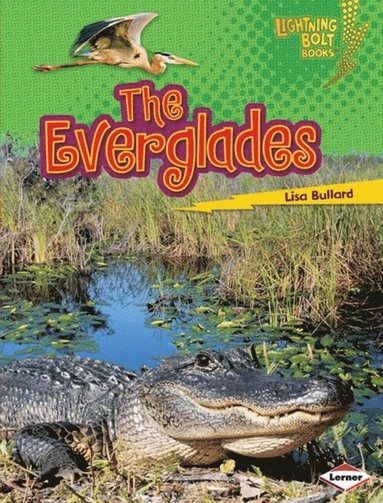 Lisa Bullard - Everglades, E-bok