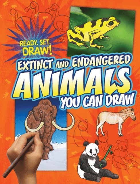 Patricia M. Stockland, Nicole Brecke - Extinct and Endangered Animals You Can Draw, E-bok