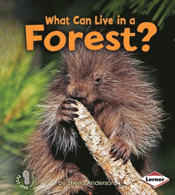 Sheila Anderson - What Can Live in a Forest?, E-bok