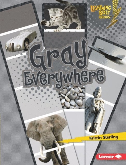Kristin Sterling - Gray Everywhere, E-bok