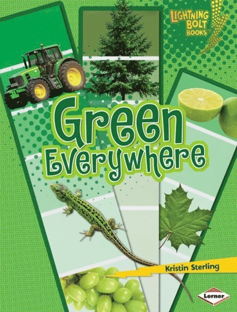 Kristin Sterling - Green Everywhere, E-bok