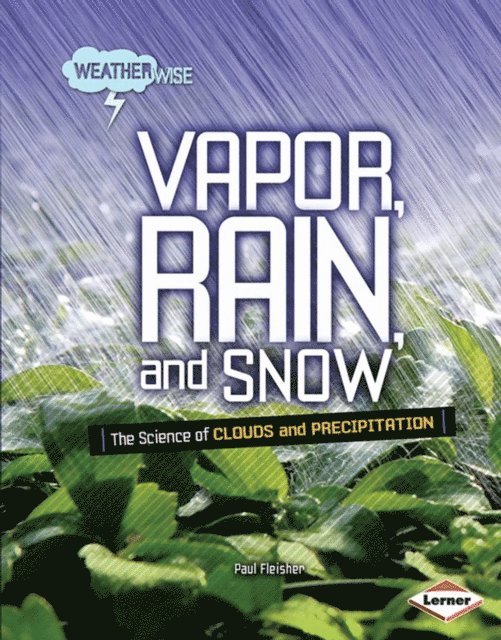 Paul Fleisher - Vapor, Rain, and Snow, E-bok. Tillgänglighet: Lägg i varukorg