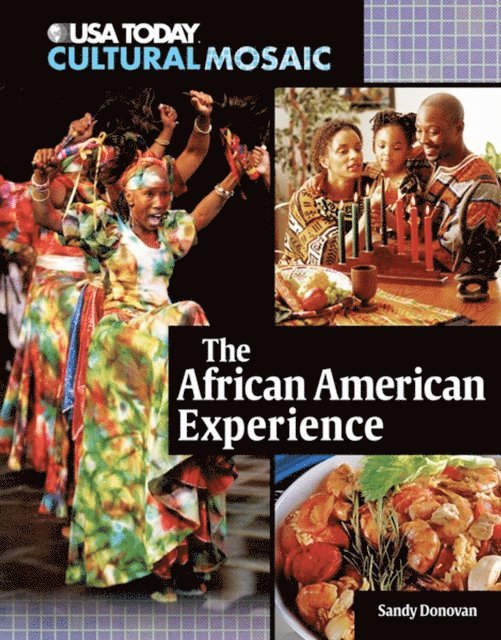 Sandy Donovan - African American Experience, E-bok