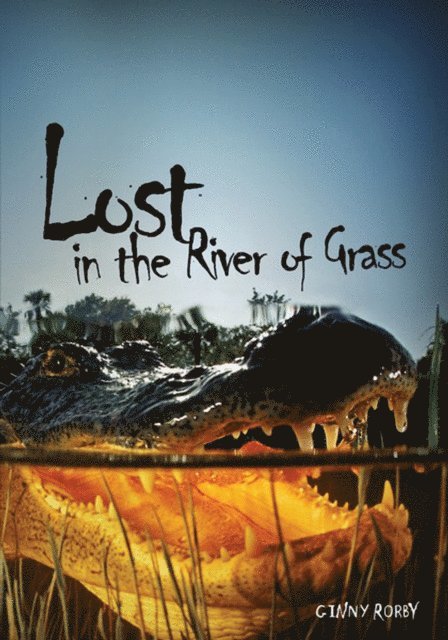 Ginny Rorby - Lost in the River of Grass, E-bok