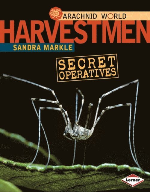 Sandra Markle - Harvestmen, E-bok