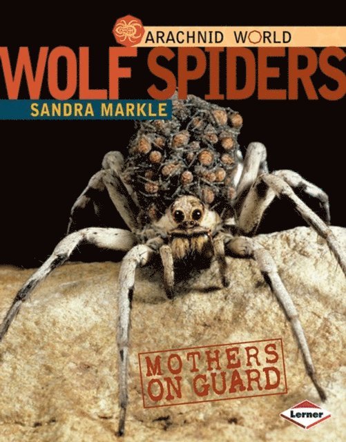 Sandra Markle - Wolf Spiders, E-bok