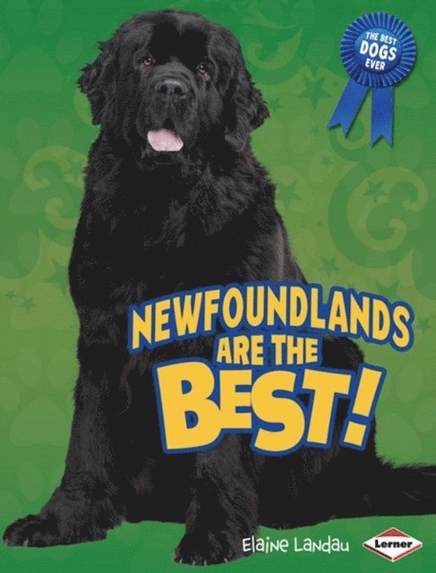 Newfoundlands Are the Best!