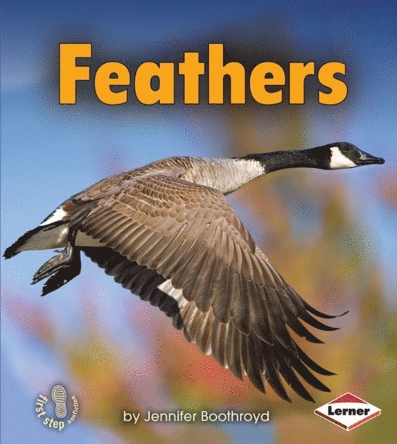Jennifer Boothroyd - Feathers, E-bok