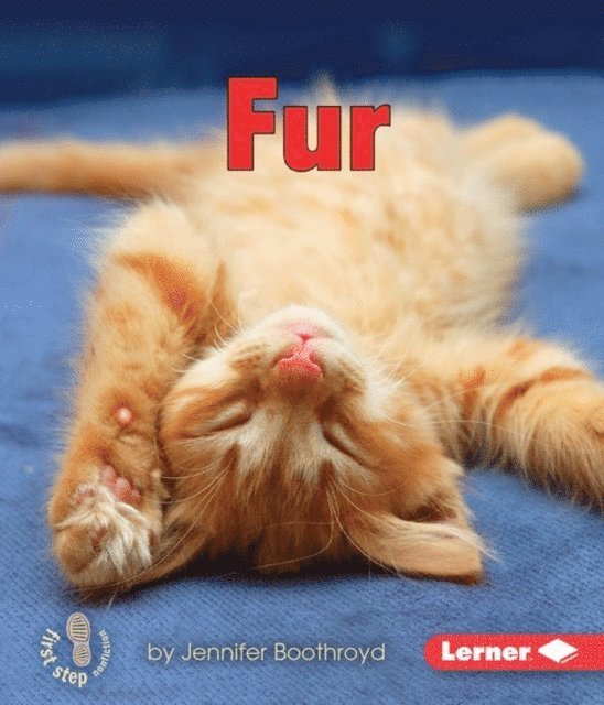 Jennifer Boothroyd - Fur, E-bok