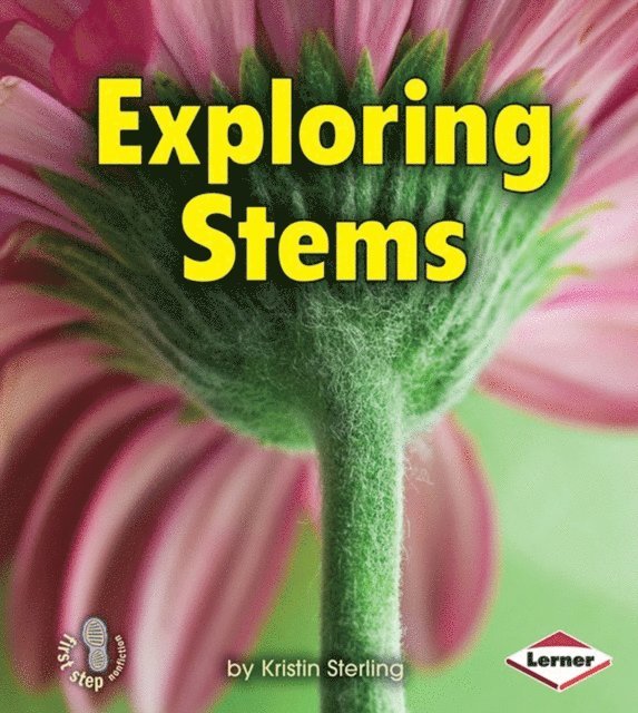 Kristin Sterling - Exploring Stems, E-bok