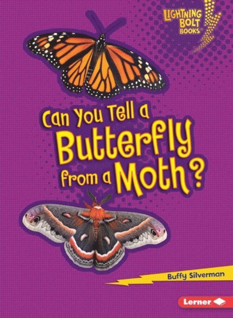 Buffy Silverman - Can You Tell a Butterfly from a Moth?, E-bok