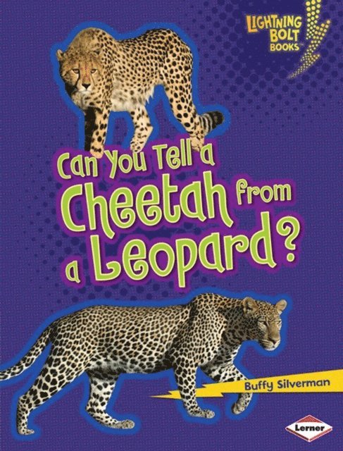 Buffy Silverman - Can You Tell a Cheetah from a Leopard?, E-bok