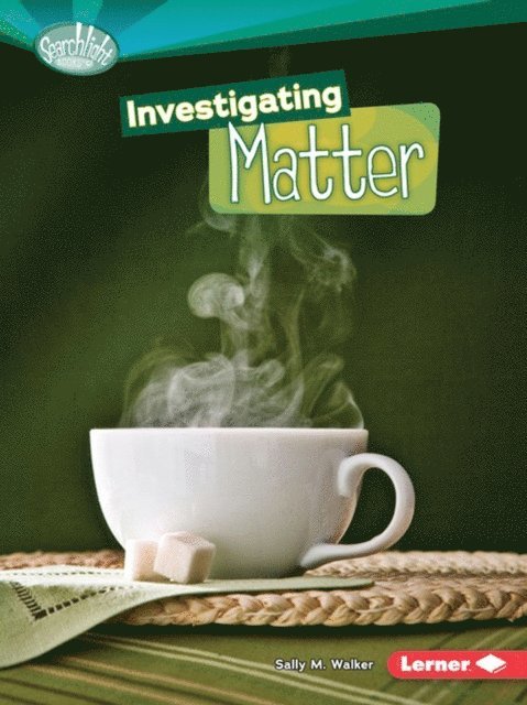 Sally M. Walker - Investigating Matter, E-bok