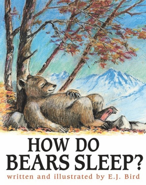 E.J. Bird - How Do Bears Sleep?, E-bok