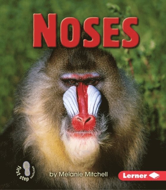 Melanie Mitchell - Noses, E-bok