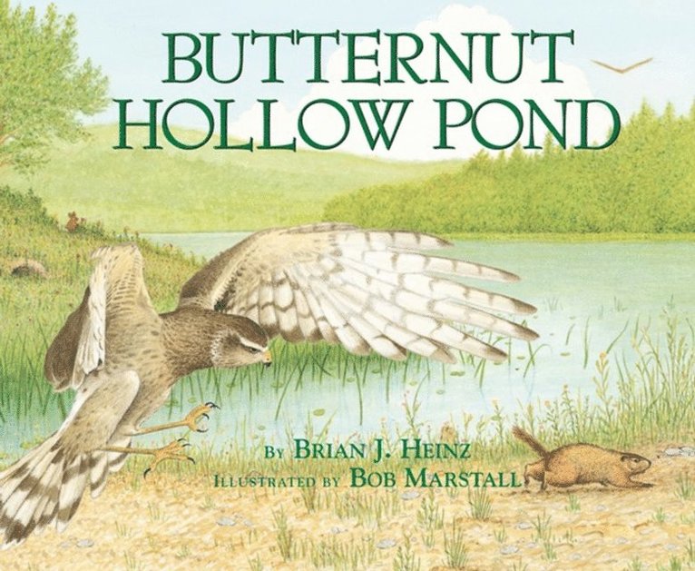 Brian Heinz - Butternut Hollow Pond, E-bok