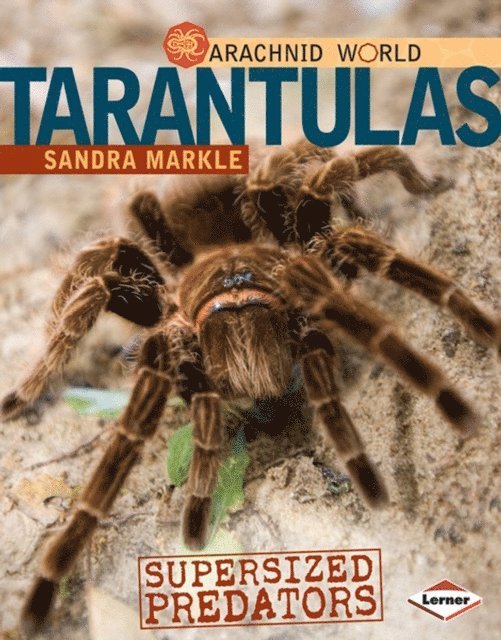 Sandra Markle - Tarantulas, E-bok