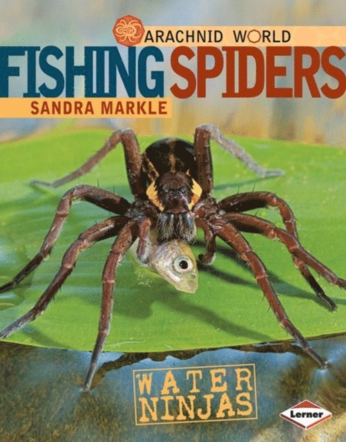 Sandra Markle - Fishing Spiders, E-bok