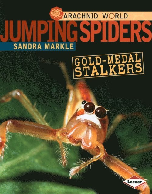 Sandra Markle - Jumping Spiders, E-bok