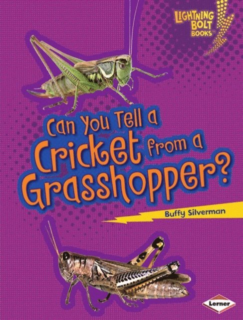 Buffy Silverman - Can You Tell a Cricket from a Grasshopper?, E-bok