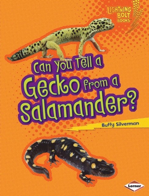 Buffy Silverman - Can You Tell a Gecko from a Salamander?, E-bok