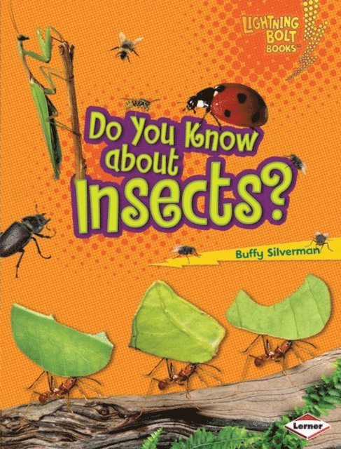 Buffy Silverman - Do You Know about Insects?, E-bok
