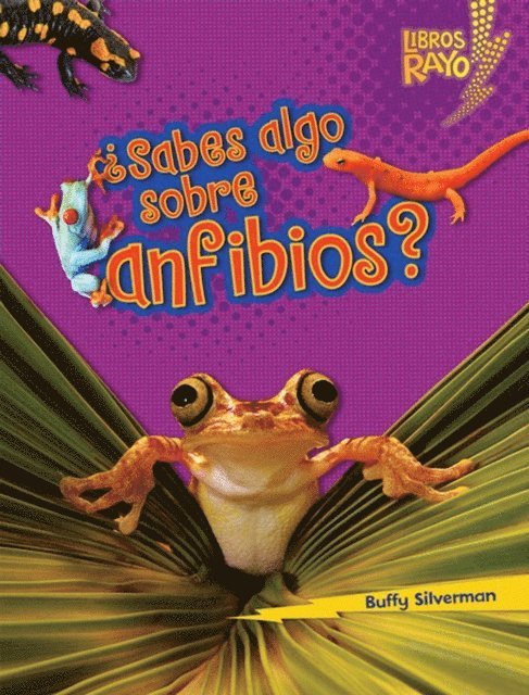Buffy Silverman - ¿Sabes algo sobre anfibios? (Do You Know about Amphibians?), E-bok