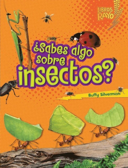 Buffy Silverman - ¿Sabes algo sobre insectos? (Do You Know about Insects?), E-bok