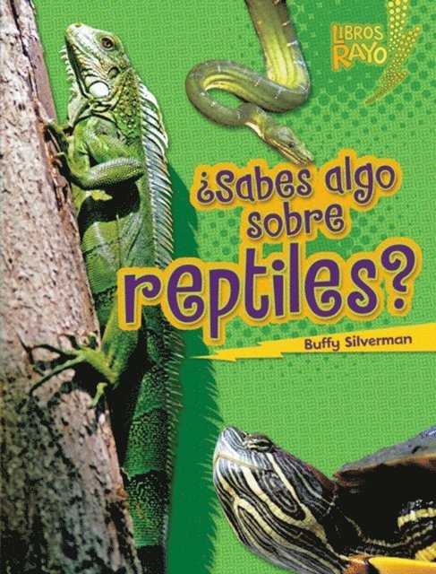 Buffy Silverman - ¿Sabes algo sobre reptiles? (Do You Know about Reptiles?), E-bok