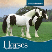 Steven Oftinoski - Horses, Inbunden