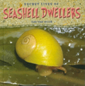 Secret Lives of Seashell Dwellers