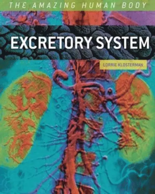 Lorrie Klosterman - Excretory System, E-bok. Tillgänglighet: Lägg i varukorg
