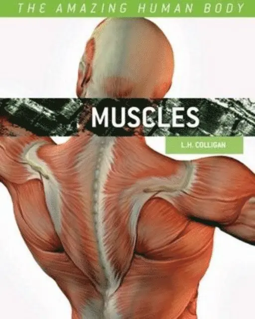L. H. Colligan - Muscles, E-bok. Tillgänglighet: Lägg i varukorg